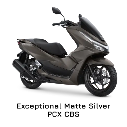 PCX 160 Exceptional Matte Silver