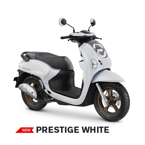 SCOOPY Prestige White